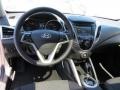 Triathlon Gray - Veloster  Photo No. 25