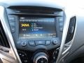 Triathlon Gray - Veloster  Photo No. 27