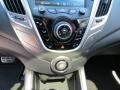 Triathlon Gray - Veloster  Photo No. 28