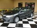 Magnetic Gray Metallic - Camry LE Photo No. 3