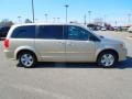 2013 Sandstone Dodge Grand Caravan SE  photo #6