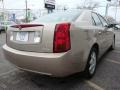 Sand Storm - CTS Sedan Photo No. 6