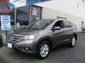 Urban Titanium Metallic - CR-V EX 4WD Photo No. 1