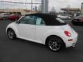 Candy White - New Beetle 2.5 Convertible Photo No. 14