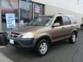 Mojave Mist Metallic - CR-V EX 4WD Photo No. 1