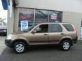 Mojave Mist Metallic - CR-V EX 4WD Photo No. 3