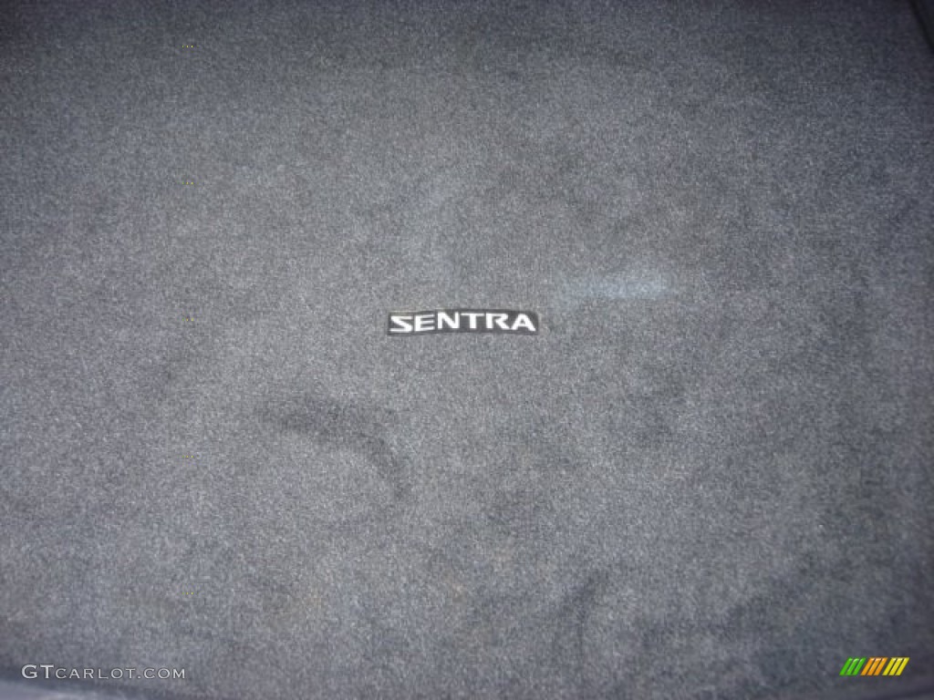 2009 Sentra 2.0 S - Brilliant Silver / Charcoal photo #15