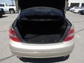 Sand Beige Metallic - C 300 Luxury Photo No. 4