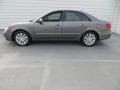 2009 Willow Gray Hyundai Sonata Limited V6  photo #6