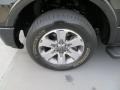2010 Ford F150 FX2 SuperCab Wheel and Tire Photo
