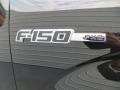  2010 F150 FX2 SuperCab Logo