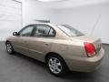 2006 Champagne Beige Hyundai Elantra GLS Sedan  photo #5