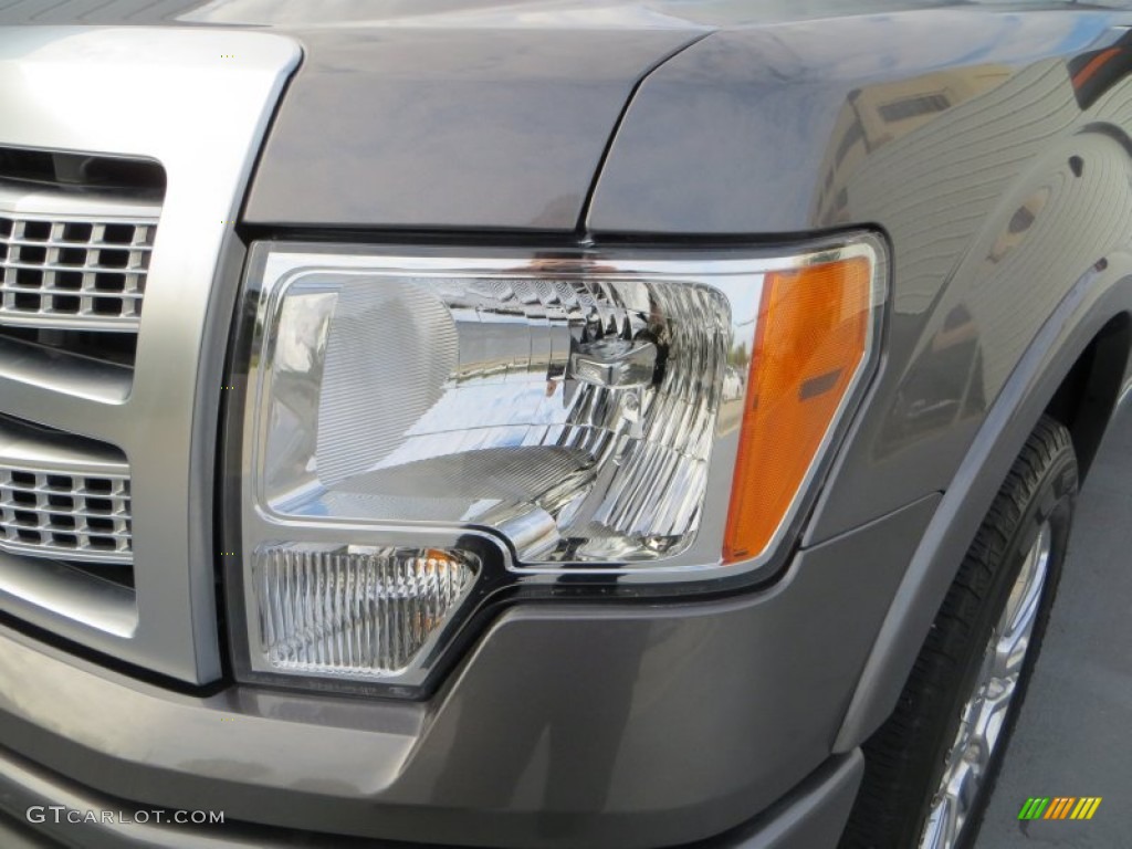 2010 F150 Platinum SuperCrew - Sterling Grey Metallic / Medium Stone Leather/Sienna Brown photo #9