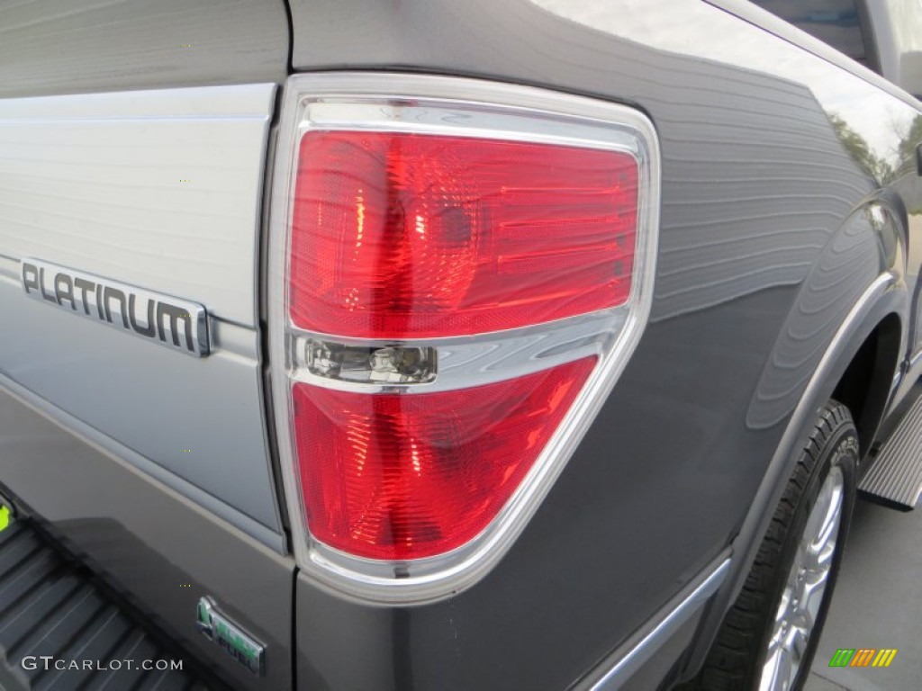 2010 F150 Platinum SuperCrew - Sterling Grey Metallic / Medium Stone Leather/Sienna Brown photo #18