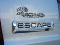 2010 Ingot Silver Metallic Ford Escape XLT V6  photo #9