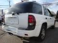 Summit White - TrailBlazer LS 4x4 Photo No. 7