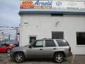 2008 Graystone Metallic Chevrolet TrailBlazer LS 4x4  photo #1