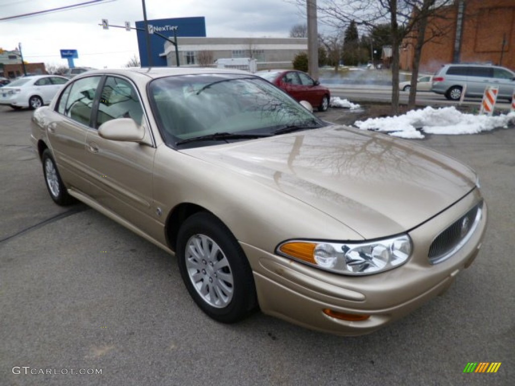 Cashmere Metallic 2005 Buick LeSabre Custom Exterior Photo #79041232