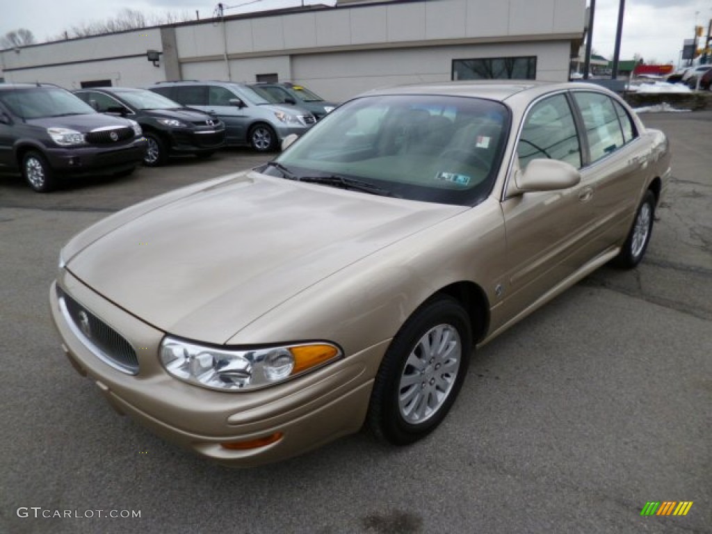 Cashmere Metallic 2005 Buick LeSabre Custom Exterior Photo #79041273