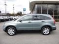 2011 Opal Sage Metallic Honda CR-V SE 4WD  photo #2