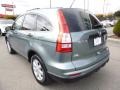 2011 Opal Sage Metallic Honda CR-V SE 4WD  photo #3