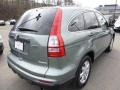 2011 Opal Sage Metallic Honda CR-V SE 4WD  photo #5