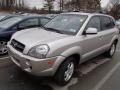Sahara Silver - Tucson GLS V6 4x4 Photo No. 3