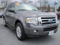 Sterling Grey Metallic 2010 Ford Expedition XLT 4x4