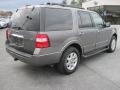 2010 Sterling Grey Metallic Ford Expedition XLT 4x4  photo #3