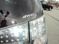 Graphite Gray Pearl - Outlander SE 4WD Photo No. 17