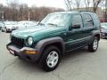 Cactus Green Pearl 2004 Jeep Liberty Sport 4x4