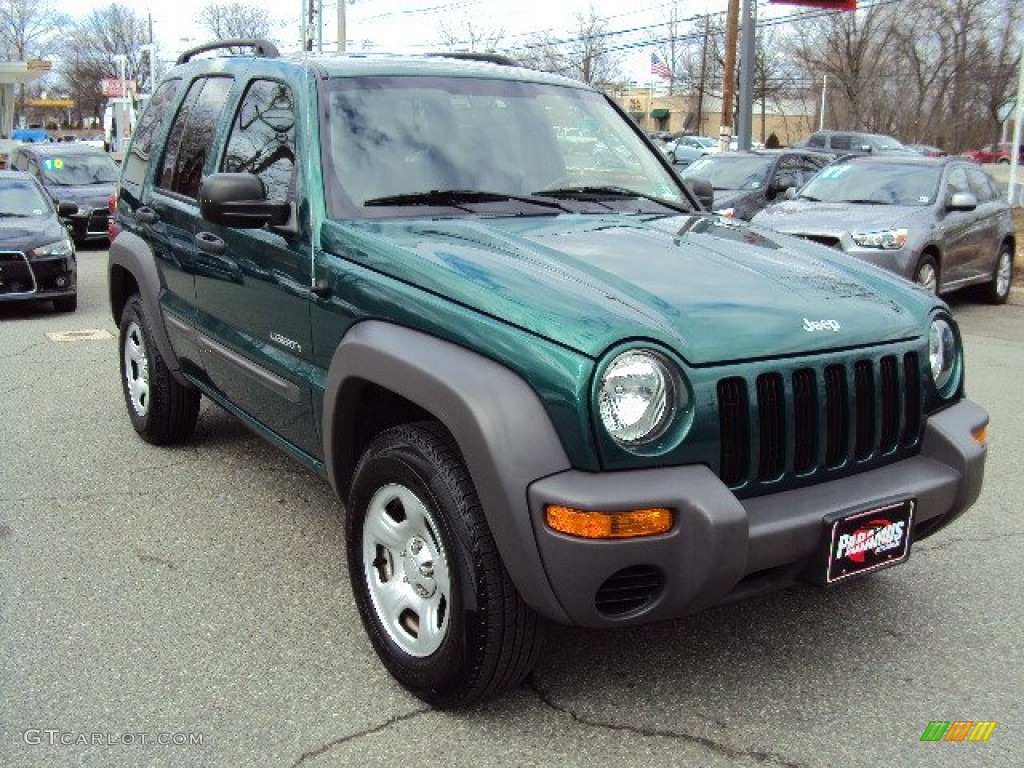 2004 Liberty Sport 4x4 - Cactus Green Pearl / Dark Slate Gray photo #3