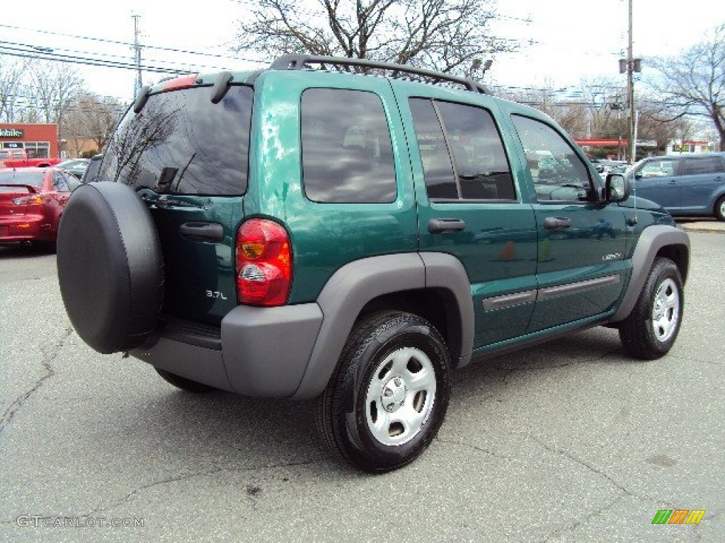 2004 Liberty Sport 4x4 - Cactus Green Pearl / Dark Slate Gray photo #4