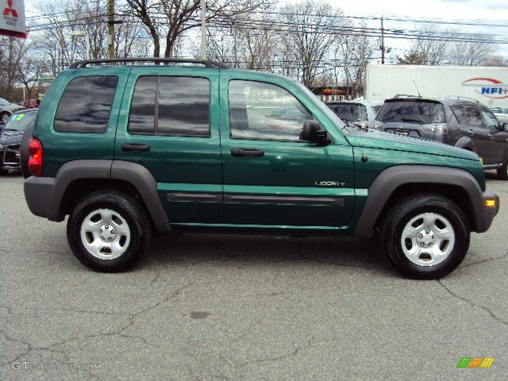 2004 Liberty Sport 4x4 - Cactus Green Pearl / Dark Slate Gray photo #5