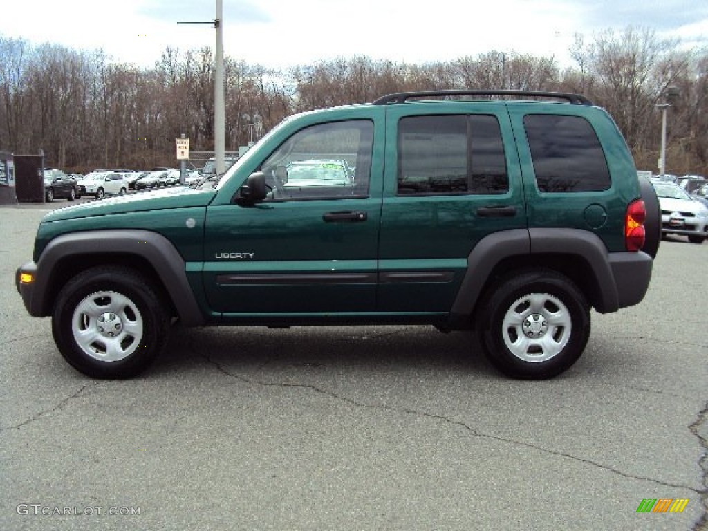 2004 Liberty Sport 4x4 - Cactus Green Pearl / Dark Slate Gray photo #6