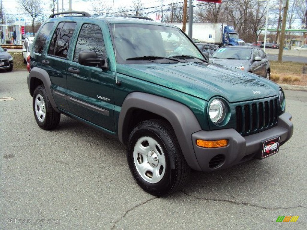 2004 Liberty Sport 4x4 - Cactus Green Pearl / Dark Slate Gray photo #7
