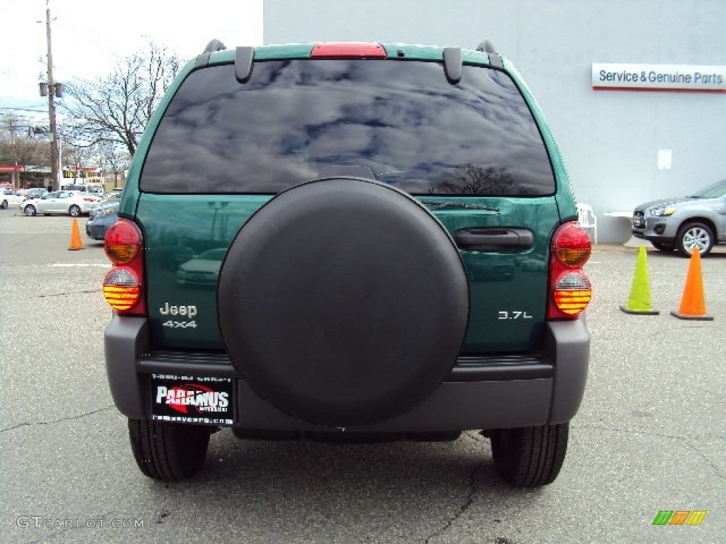 2004 Liberty Sport 4x4 - Cactus Green Pearl / Dark Slate Gray photo #11