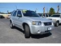 2005 Silver Metallic Ford Escape Limited 4WD  photo #3