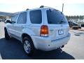 2005 Silver Metallic Ford Escape Limited 4WD  photo #8