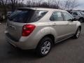 2013 Champagne Silver Metallic Chevrolet Equinox LS  photo #8