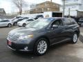 Magnetic Gray Metallic - Venza I4 AWD Photo No. 3