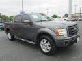 2010 Sterling Grey Metallic Ford F150 FX4 SuperCrew 4x4  photo #1