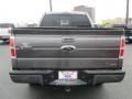 Sterling Grey Metallic - F150 FX4 SuperCrew 4x4 Photo No. 7