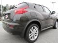 Metallic Bronze - Juke SV Photo No. 5