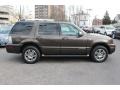 2008 Stone Green Metallic Mercury Mountaineer Premier AWD  photo #6