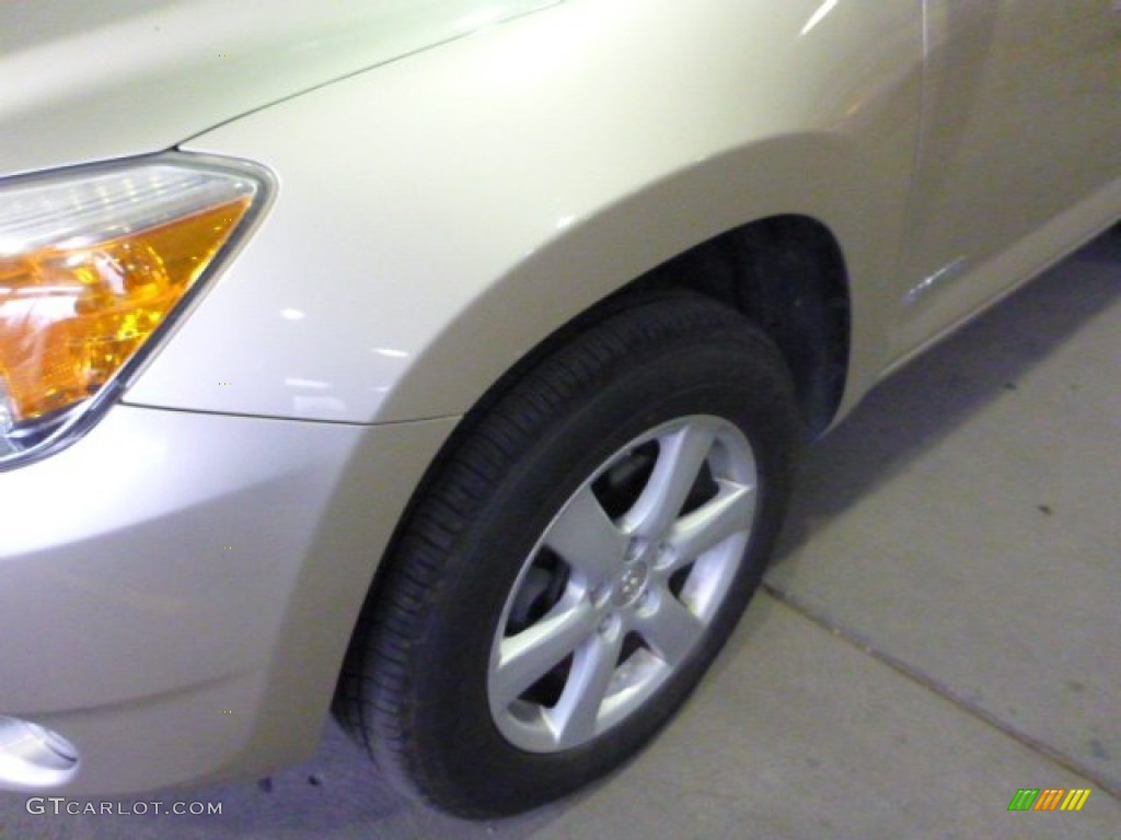 2006 RAV4 Limited 4WD - Beige Metallic / Taupe photo #8