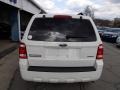 2009 White Suede Ford Escape XLT V6 4WD  photo #7