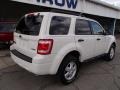 2009 White Suede Ford Escape XLT V6 4WD  photo #8