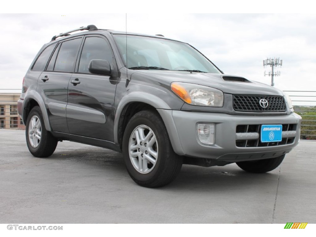 2003 RAV4  - Graphite Gray Pearl / Gray photo #1