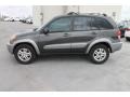 Graphite Gray Pearl - RAV4  Photo No. 5